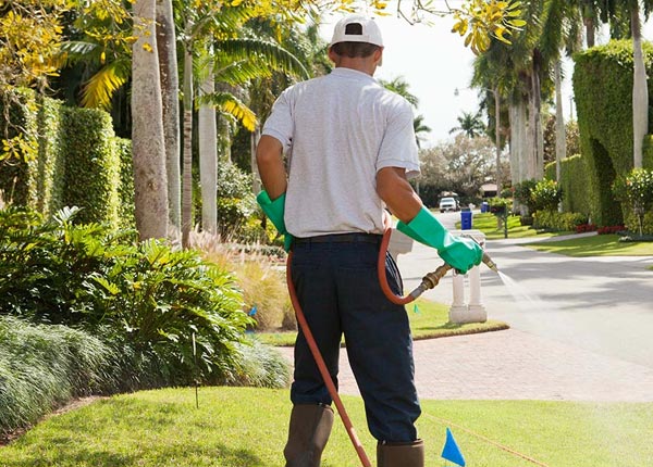 About Fredonia KS Pest Control